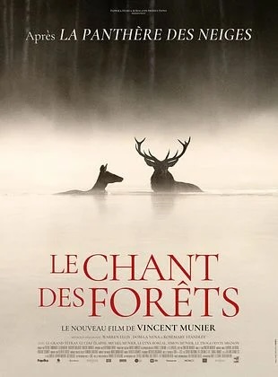 Affiche le chant des forets