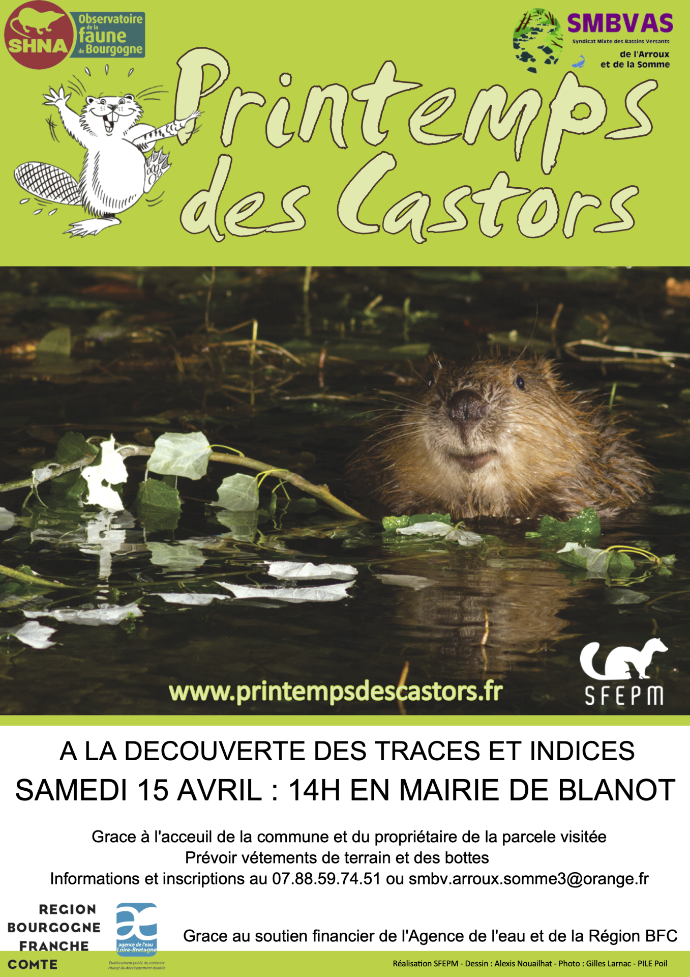 Affiche Castor