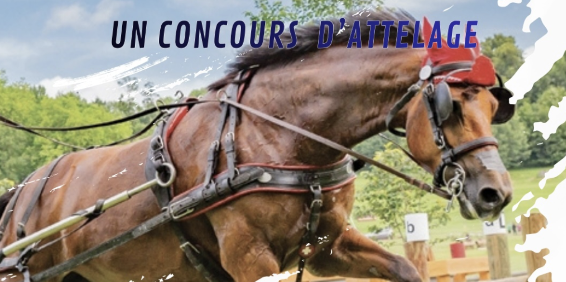 Concours d'atelage